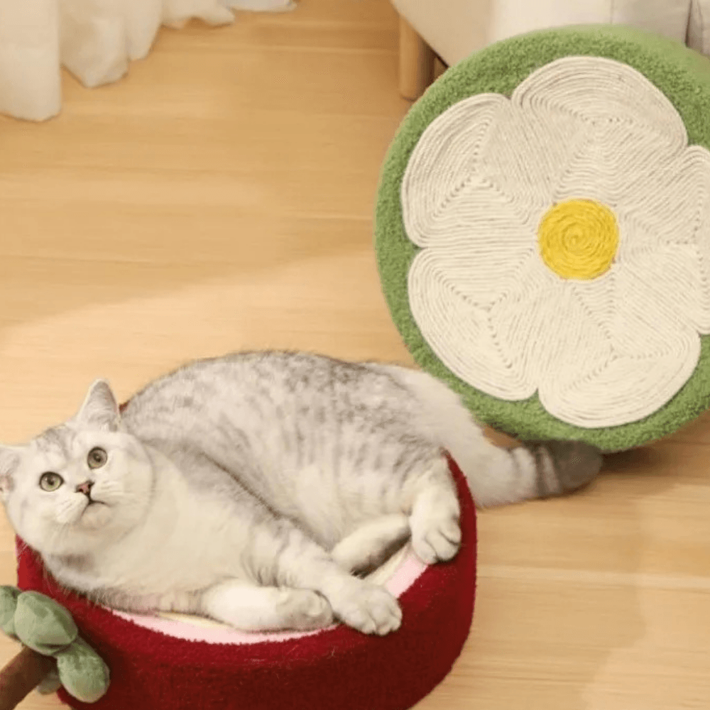 Letto Tiragraffi per Gatti