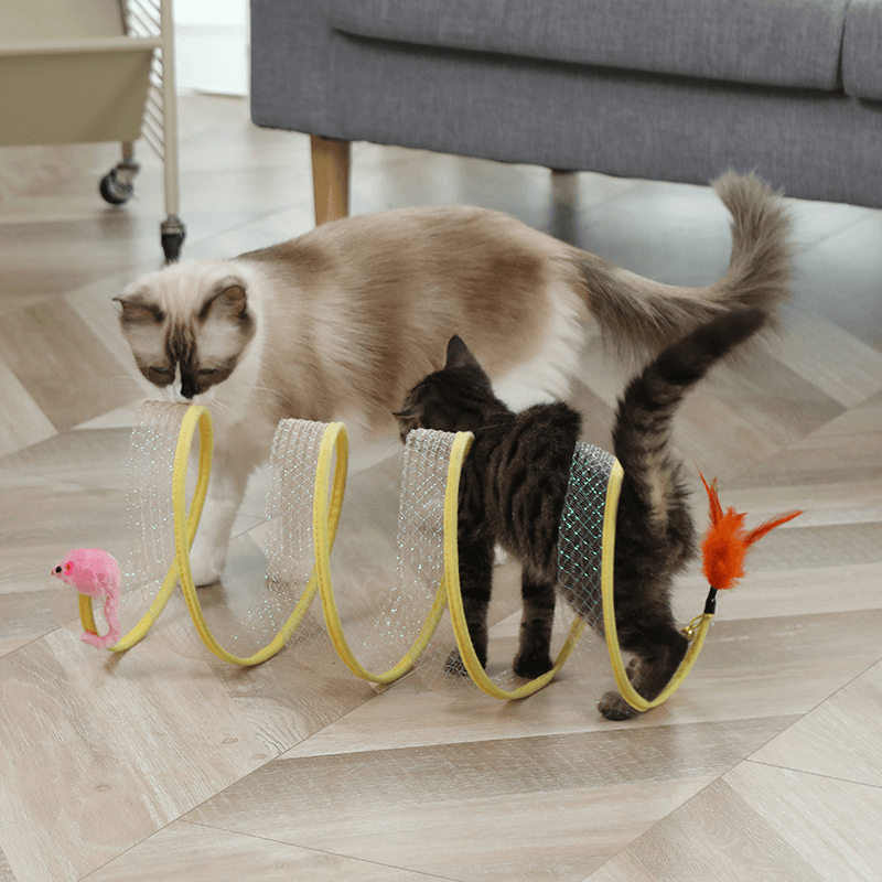 Gioco Interattivo a Spirale per Gatti