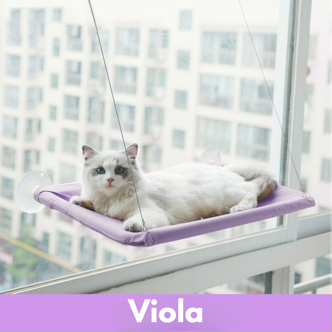 Amaca da Finestra Sospesa per Gatti