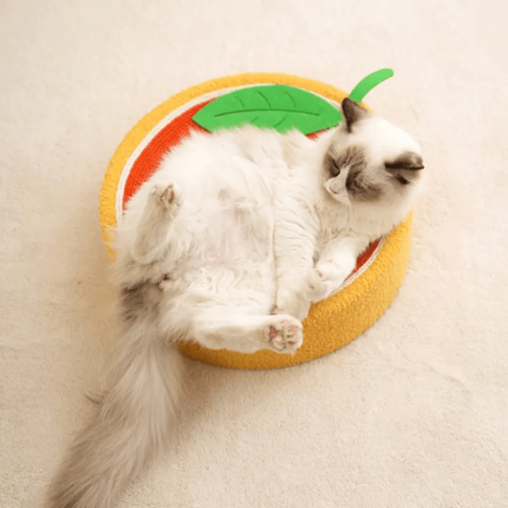 Letto Tiragraffi per Gatti