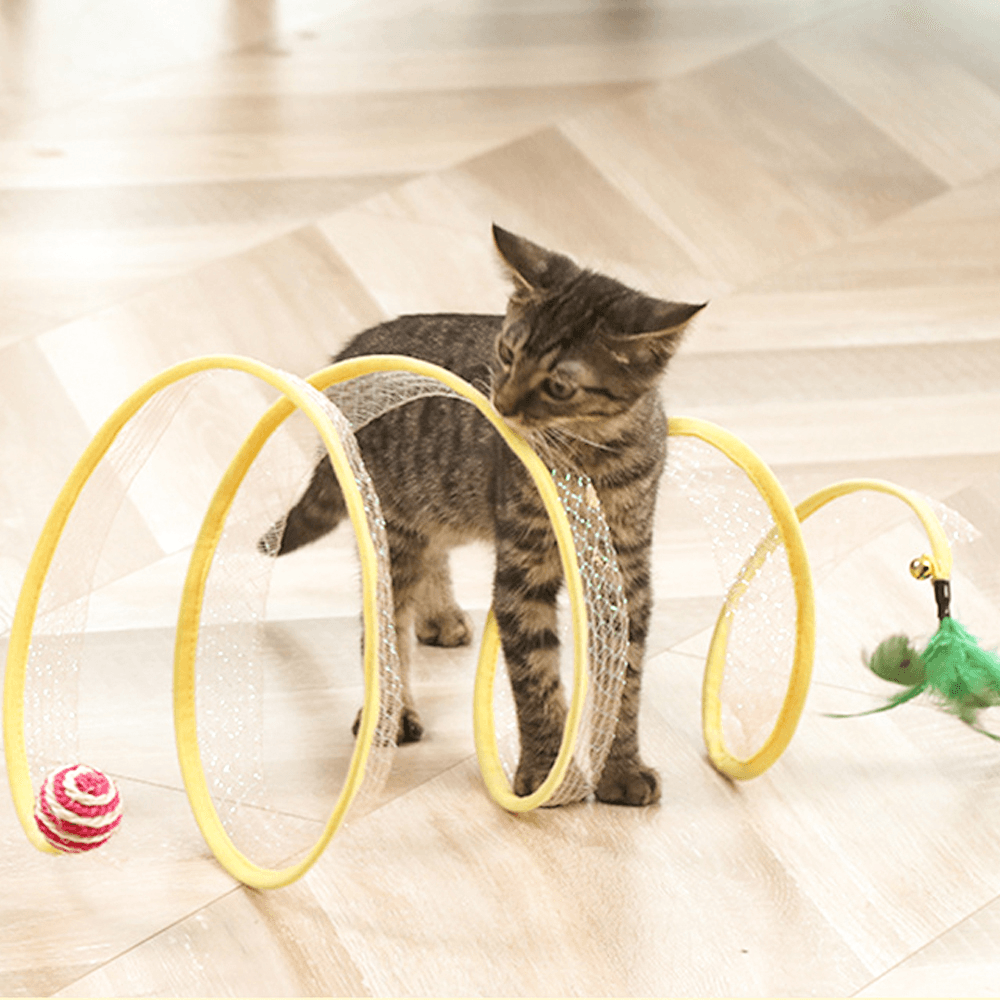 Gioco Interattivo a Spirale per Gatti