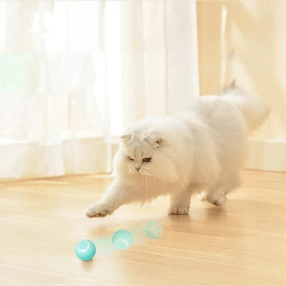 Pallina Elettronica Intelligente per Gatti