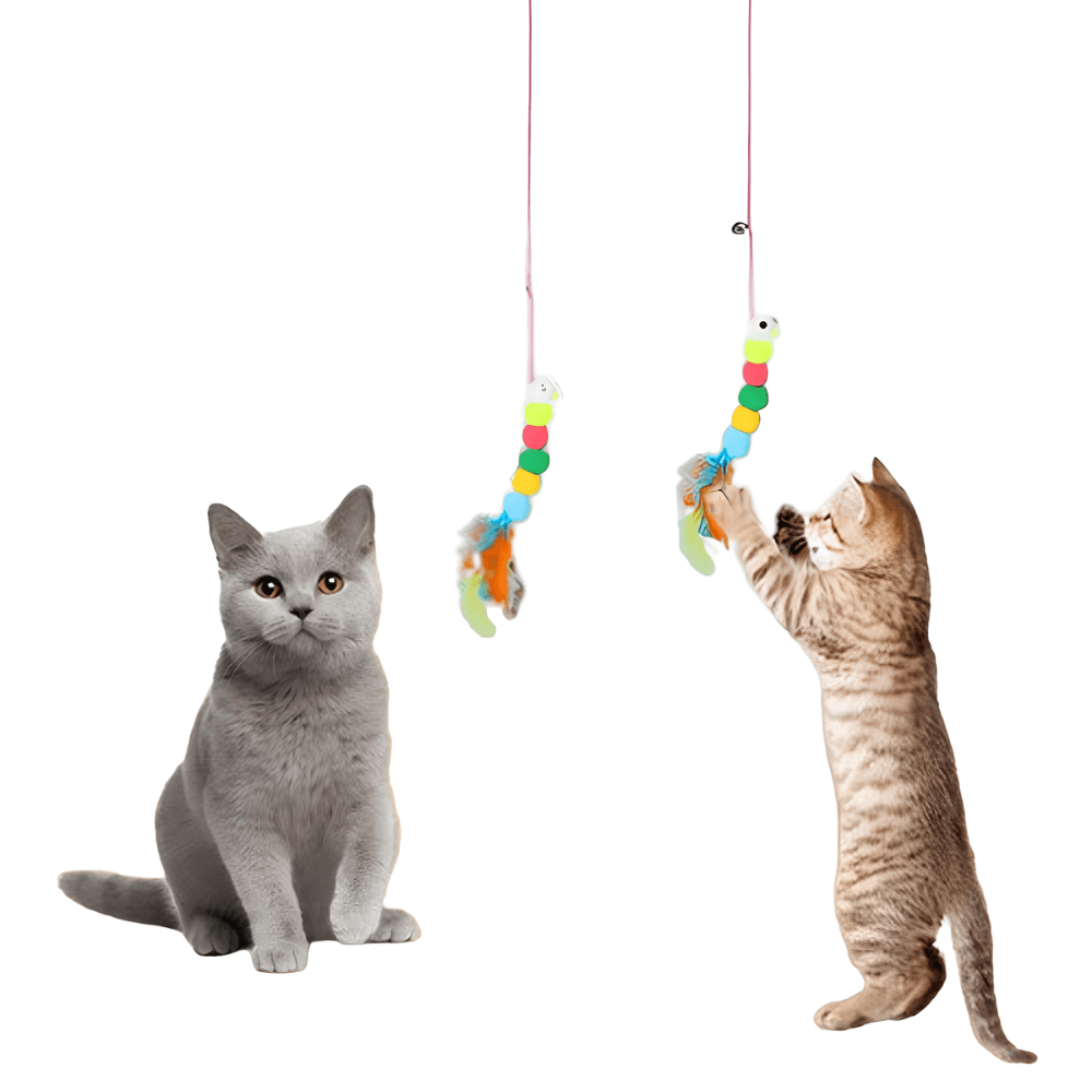 Giocattolo Pensile con Ventosa per Gatti
