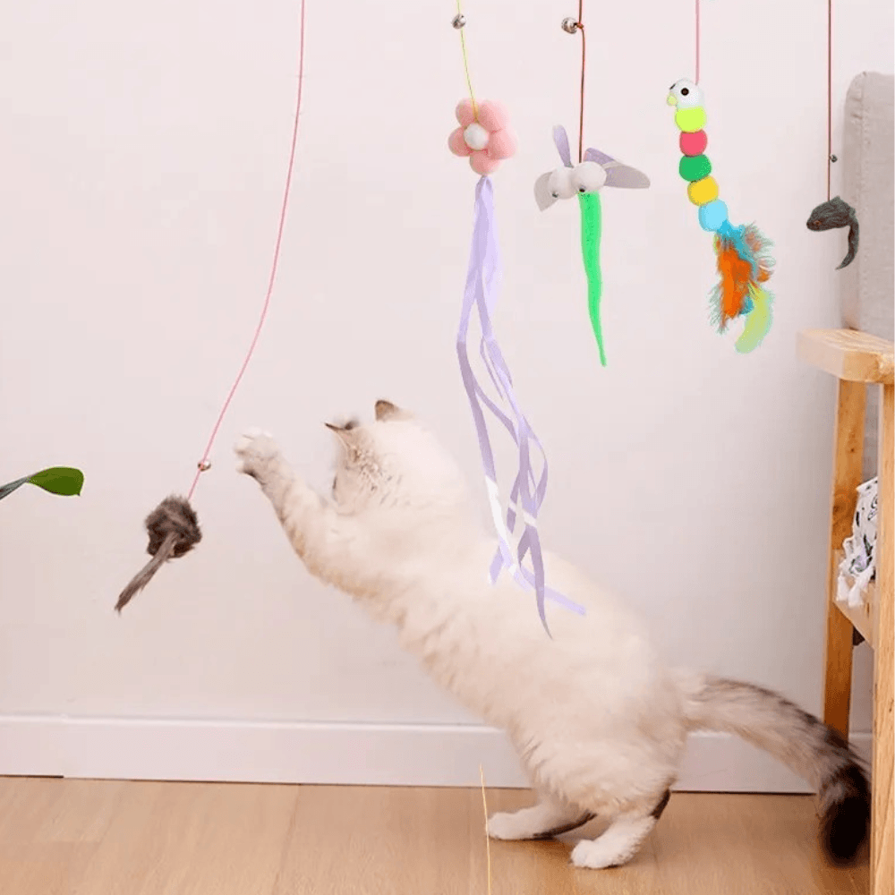 Giocattolo Pensile con Ventosa per Gatti