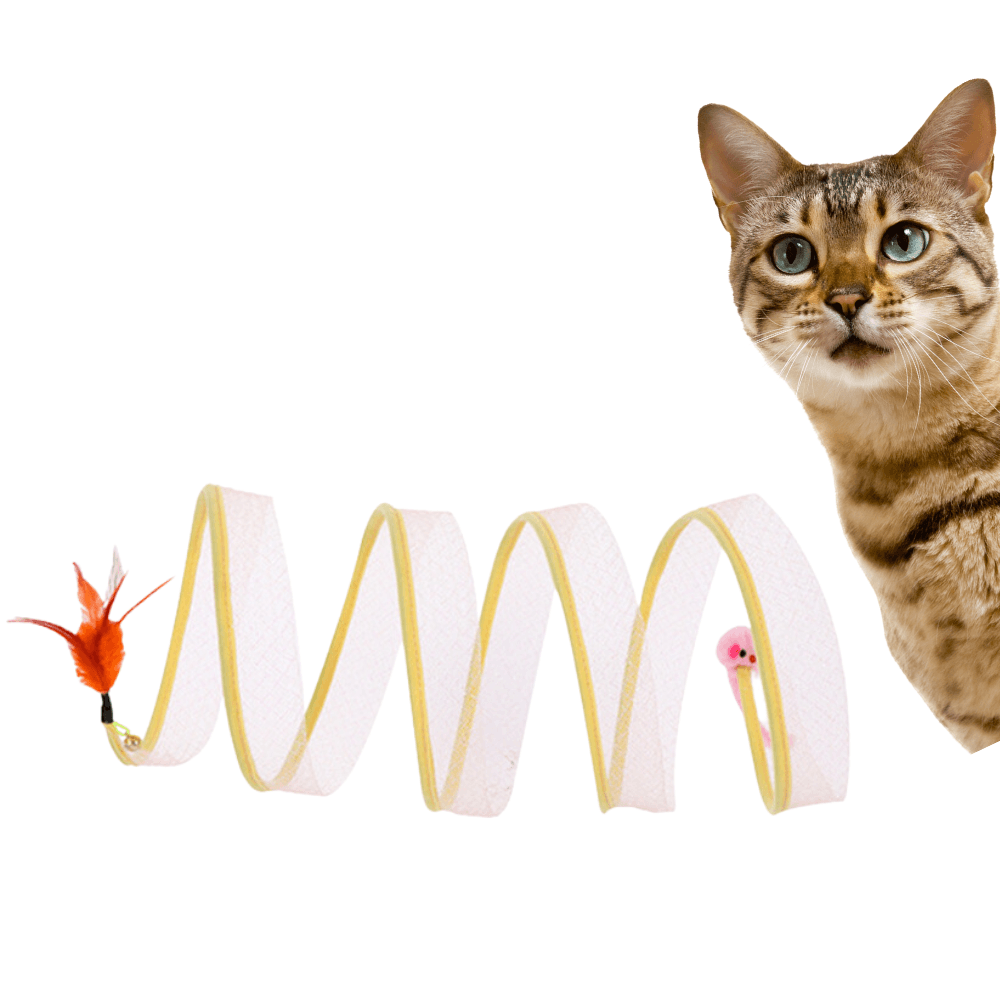 Gioco Interattivo a Spirale per Gatti