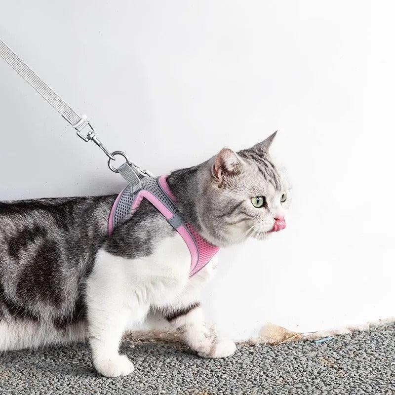 Pettorina Regolabile con Guinzaglio per Gatti
