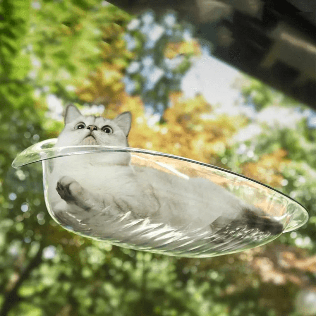 Letto Pensile Moderno per Gatti