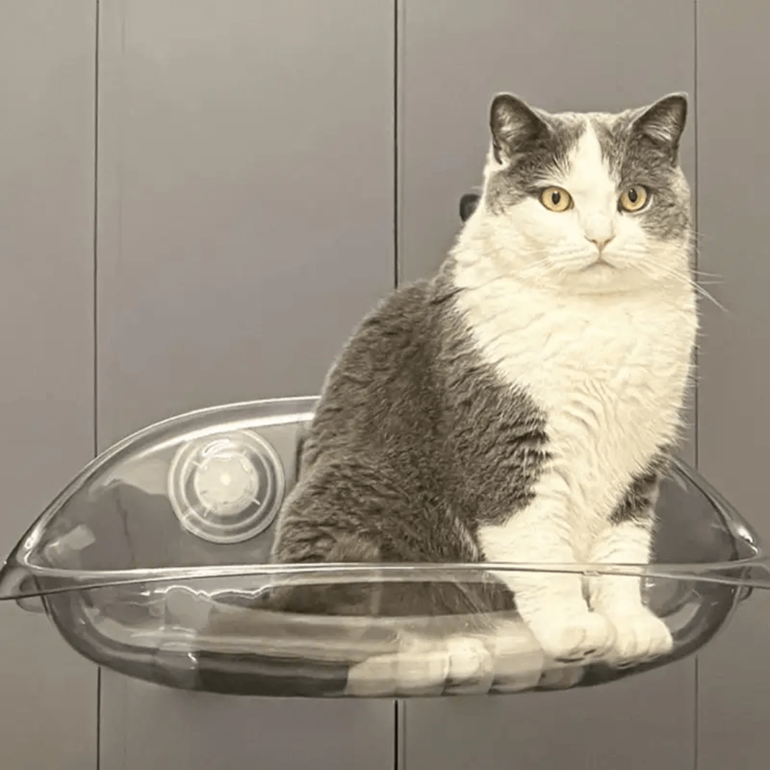 Letto Pensile Moderno per Gatti