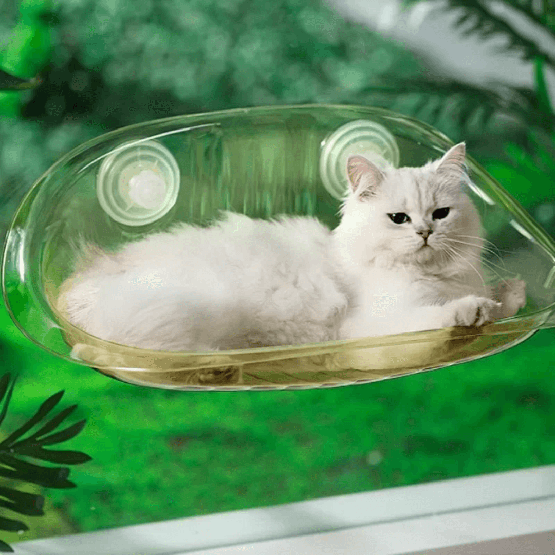 Letto Pensile Moderno per Gatti