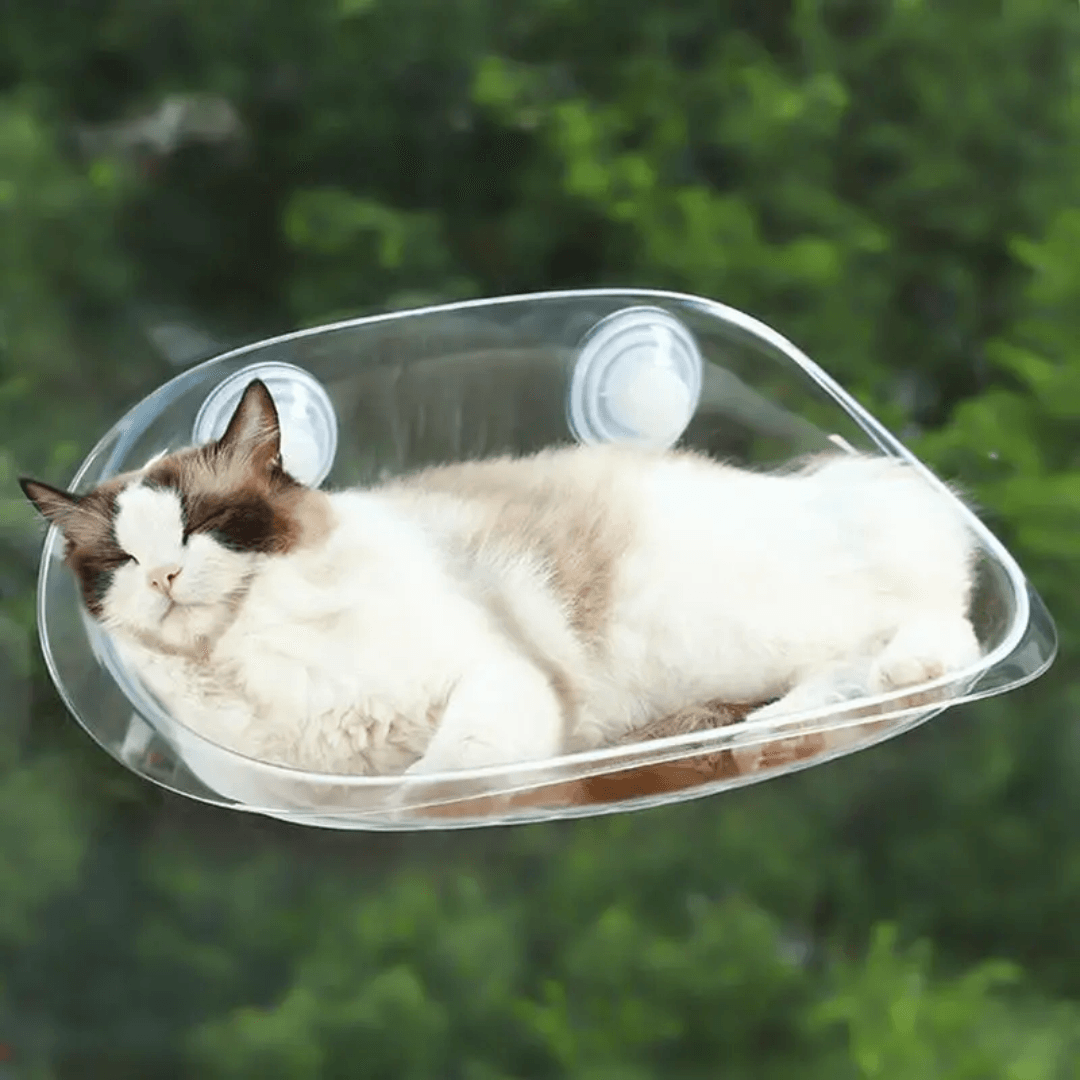 Letto Pensile Moderno per Gatti