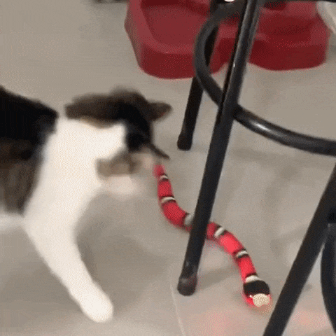 Serpente Interattiva per Gatti