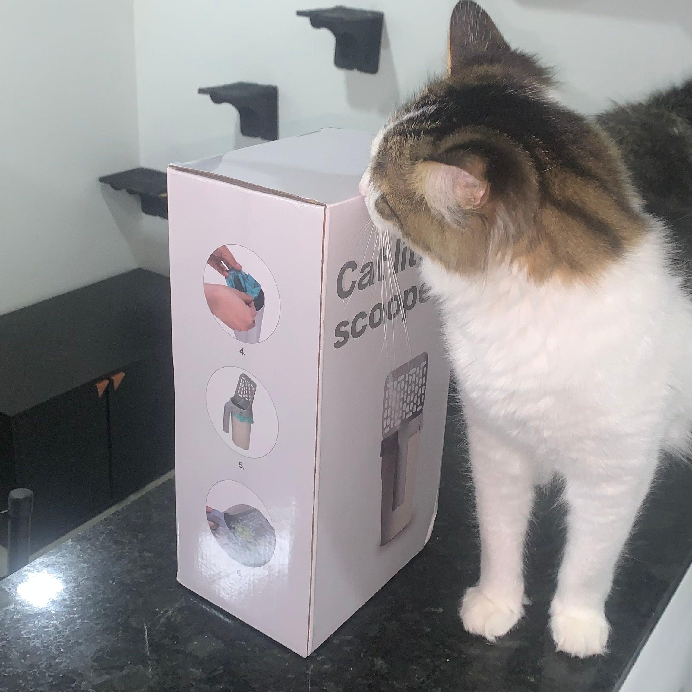 Paletta con Dispenser per Gatti