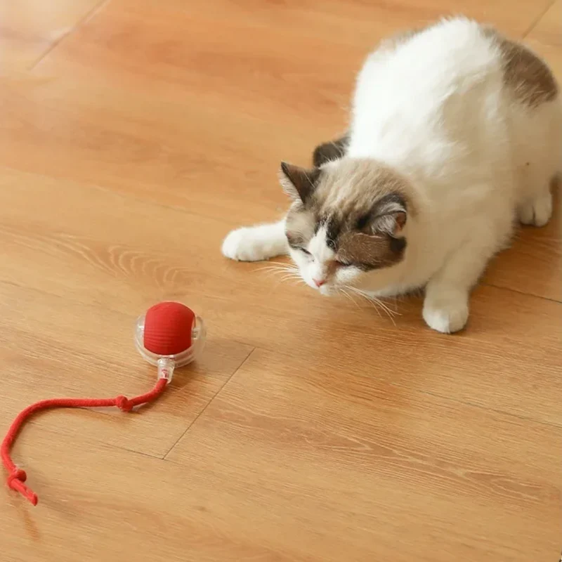 Palla da Caccia Elettronica per Gatti