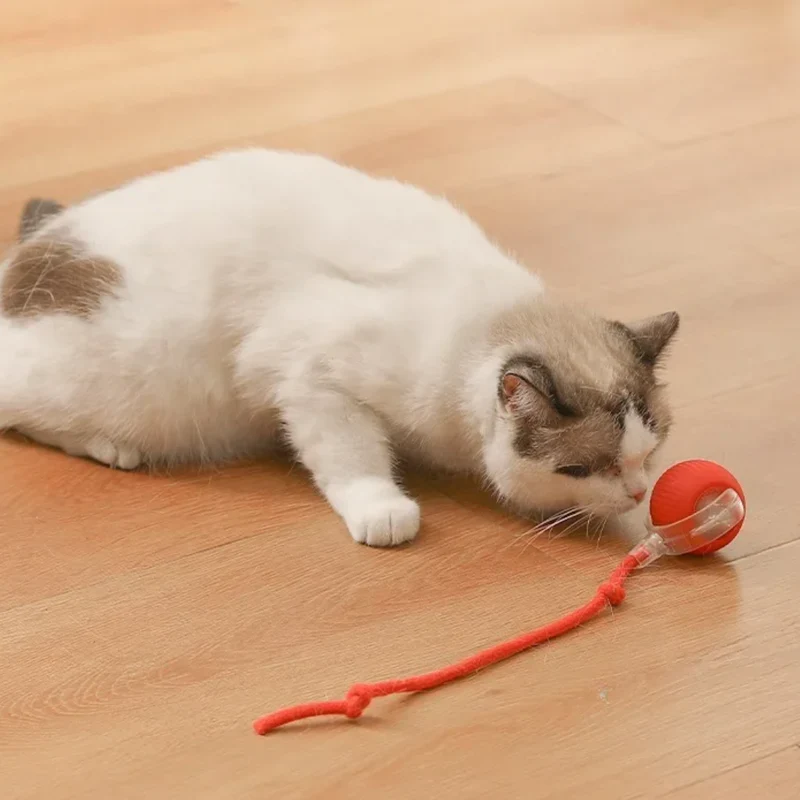 Palla da Caccia Elettronica per Gatti