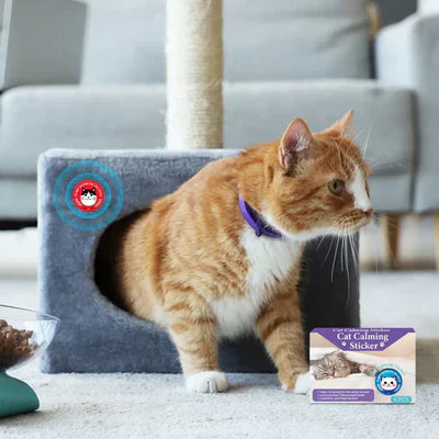 Cerotti Calmanti alle Feromoni per Gatti (6 Pezzi)