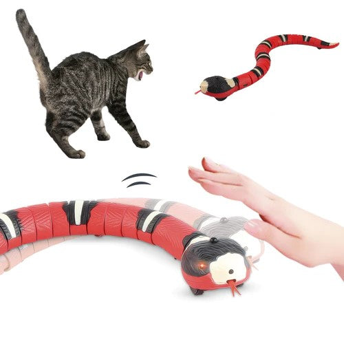Serpente Interattiva per Gatti