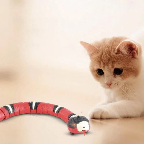 Serpente Interattiva per Gatti
